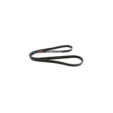 courroie accessoire LT1 - 1