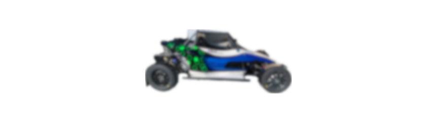 Kit embrayage Buggy Cup / Buggy 1600 (moteur moto/auto) - Embrayage - Off  Road Technology