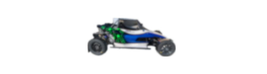 RT2 Buggy 1600